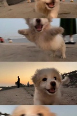 林