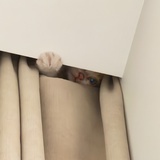🐈封心锁欲