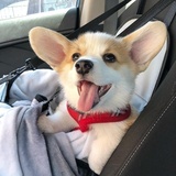 小阿